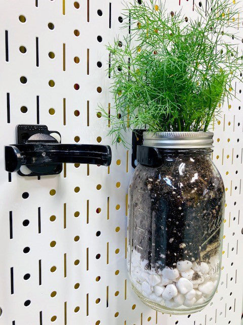 Living Wall Vertical Garden Glass Canister Pegboard Set